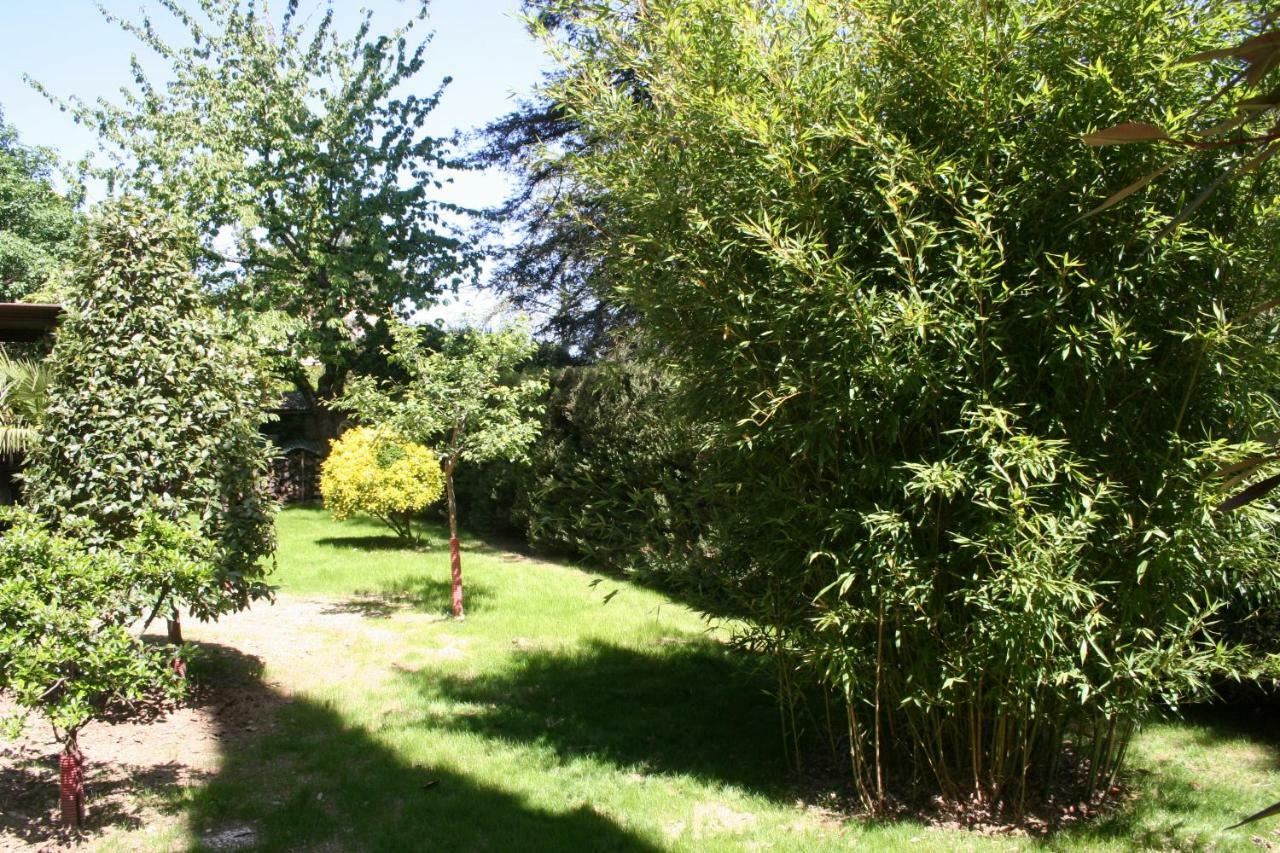 La Casa Di Rachele Apartment Sarteano Luaran gambar